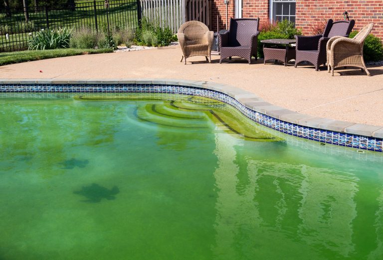 Why Is My Pool Green? Fixing Murky Water Dr Pool Leaks